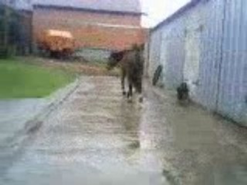Vidéo-0004