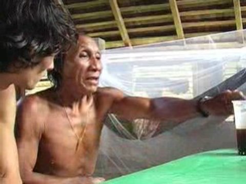 Amazonie amérindiens de Guyane en danger