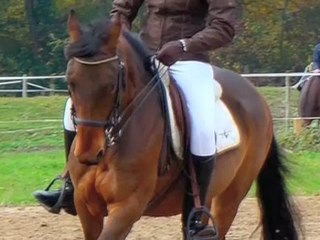 Neptune du capelan ONC