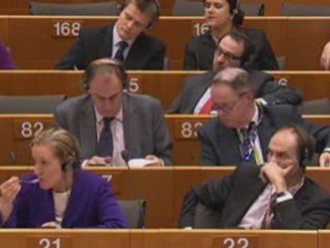 Annemie Neyts-Uyttebroeck on The role of NATO