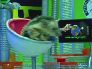 38 Cute Animals, 1 Cool Screen, 8 Different Uses