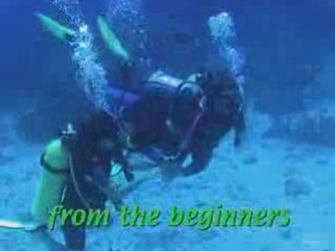 Diving Similan Islands