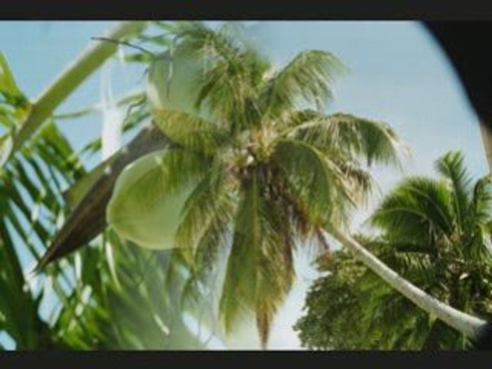 Tahiti_0002
