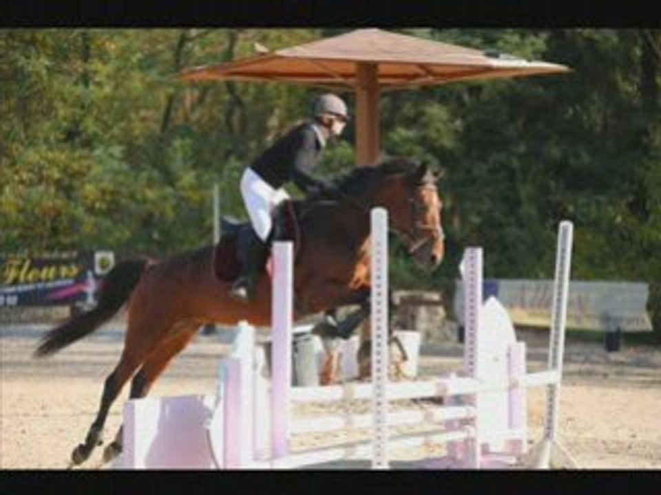 Omaha progresion mai 2008 à janvier 2009