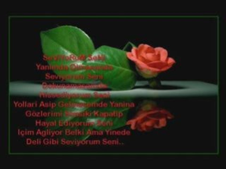 Beni sevmek yürek ister