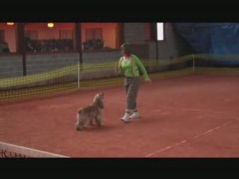 Julie et toupy 2e passage