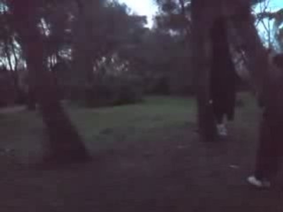 salto arriere mwa