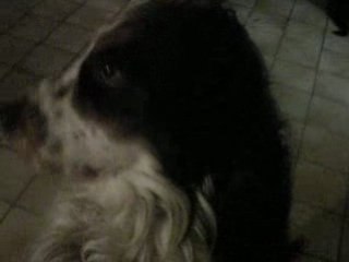 Héhé xD kan On j'ai rien d'autre a faire ...