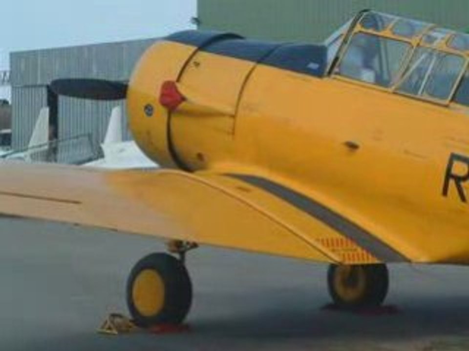 Old wings