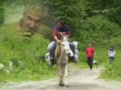 Yaşar çelik - çamlıhemşinden selam-şiir-kavrun.tr.gg