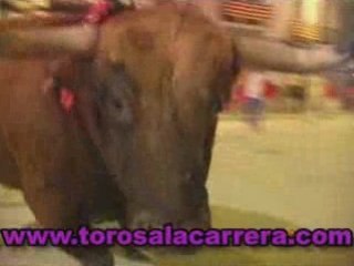 Toros a la Carrera 2008