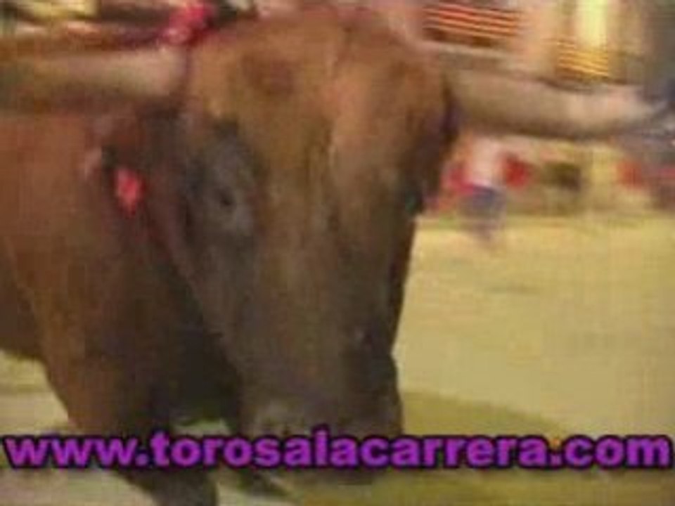 Toros a la Carrera 2008