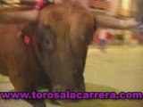 Toros a la Carrera 2008