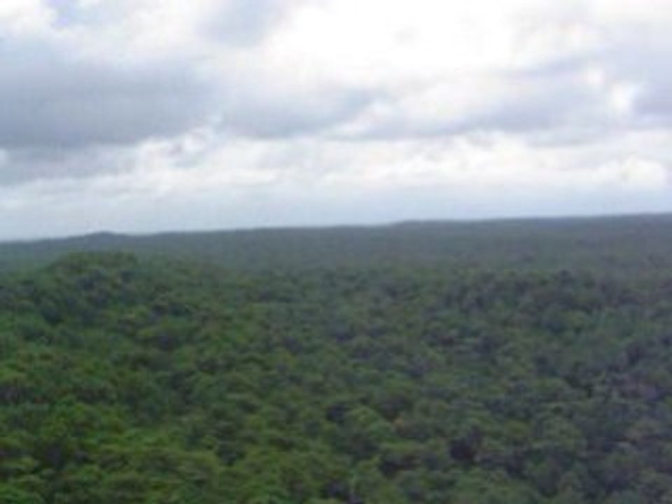 La dune du Pyla 034
