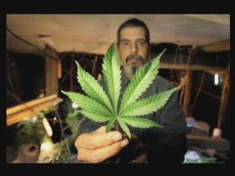 Marijuana grower William Hewitt in Montrose, Colo.