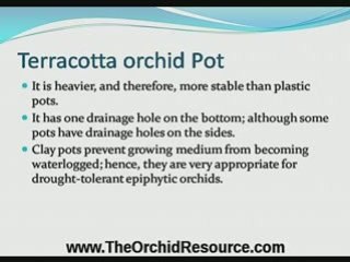 Learn What Kinds Of Orchid Pots To Use For Orchids