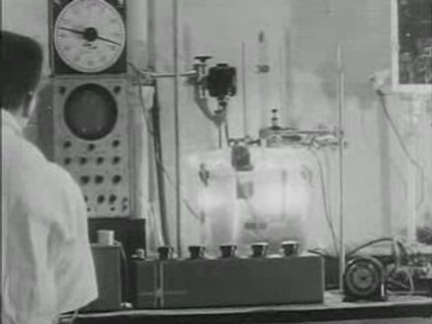 The Flesh Eaters (1964)