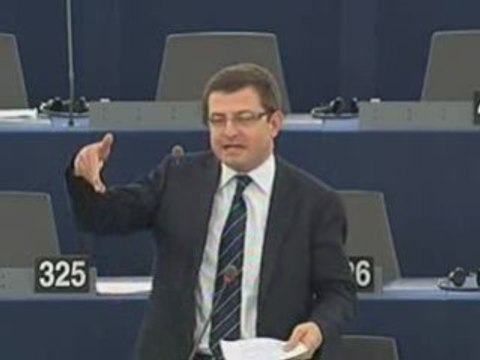 Ignasi Guardans Cambó on Consular protection