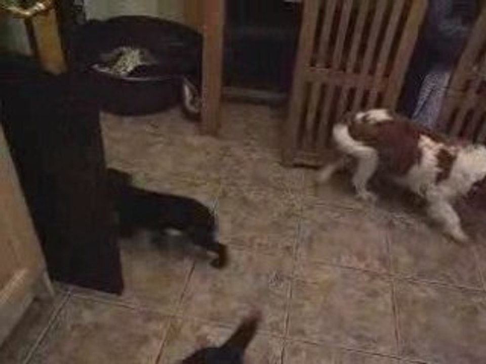 oliver with friends