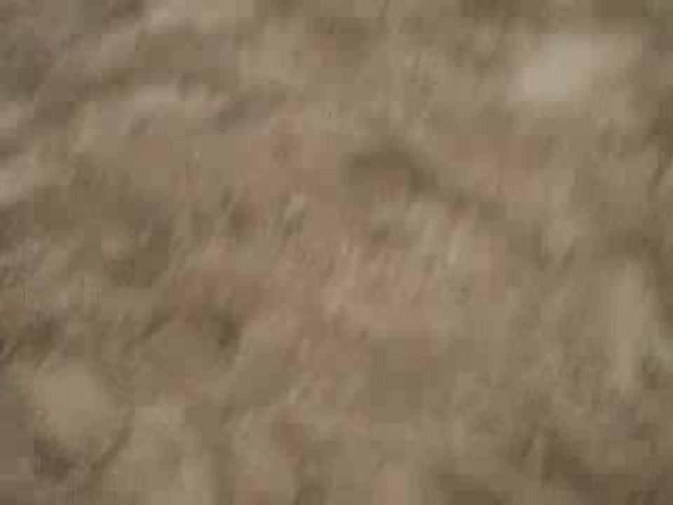 rêve d'une gosse à l'obstacle en liberté