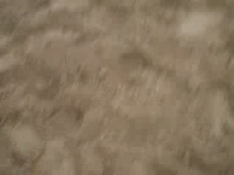 rêve d'une gosse à l'obstacle en liberté