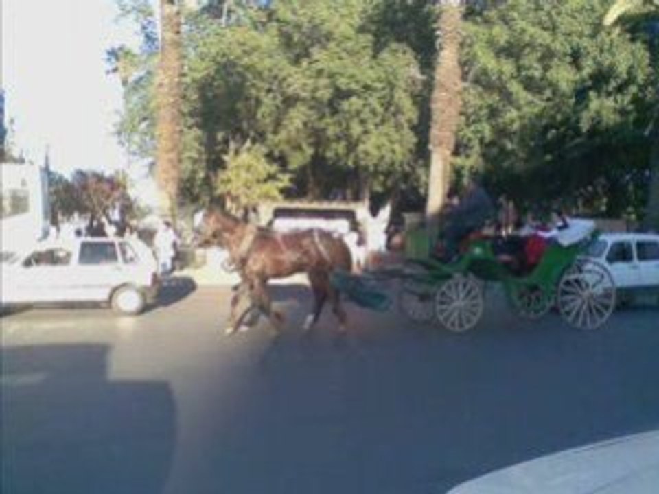 lajime19