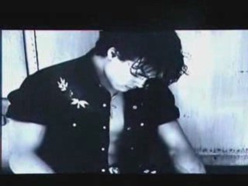 aprés bruce lee.brandon lee