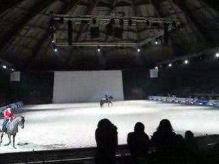 PRESENTATION DES LUSITANIENS