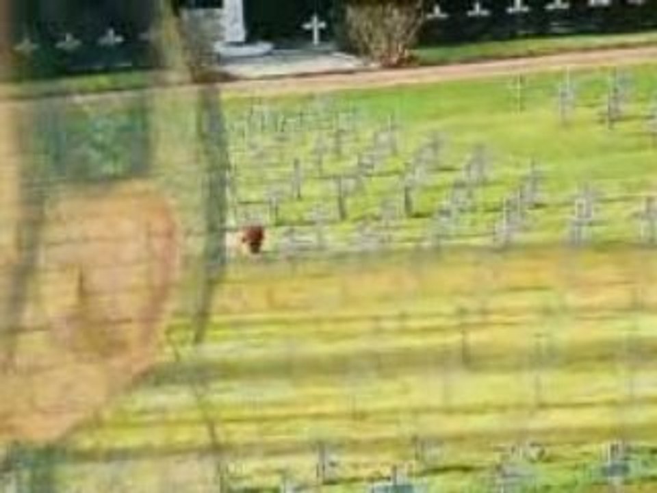 quand jaurais trouvé ma reine