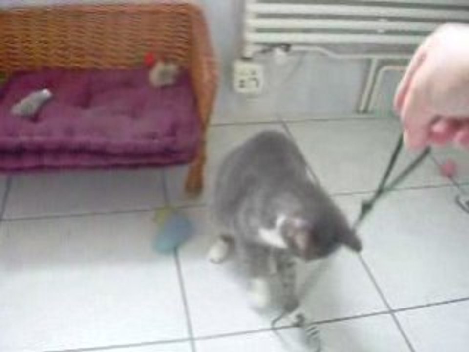 Nuage s'amuse