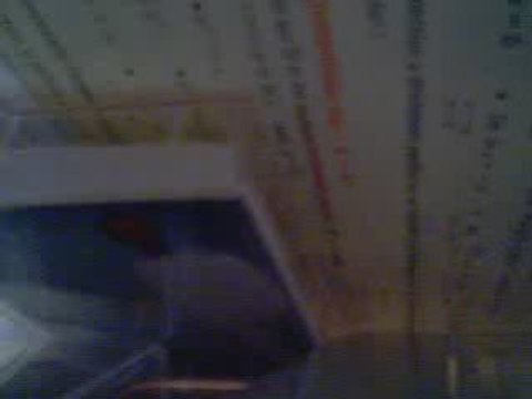 chleuh archach 3li chouhad asir aslaminou