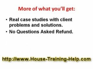 Dog Toilet Training: It can be done