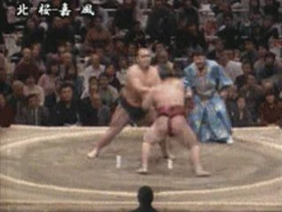 Sumo