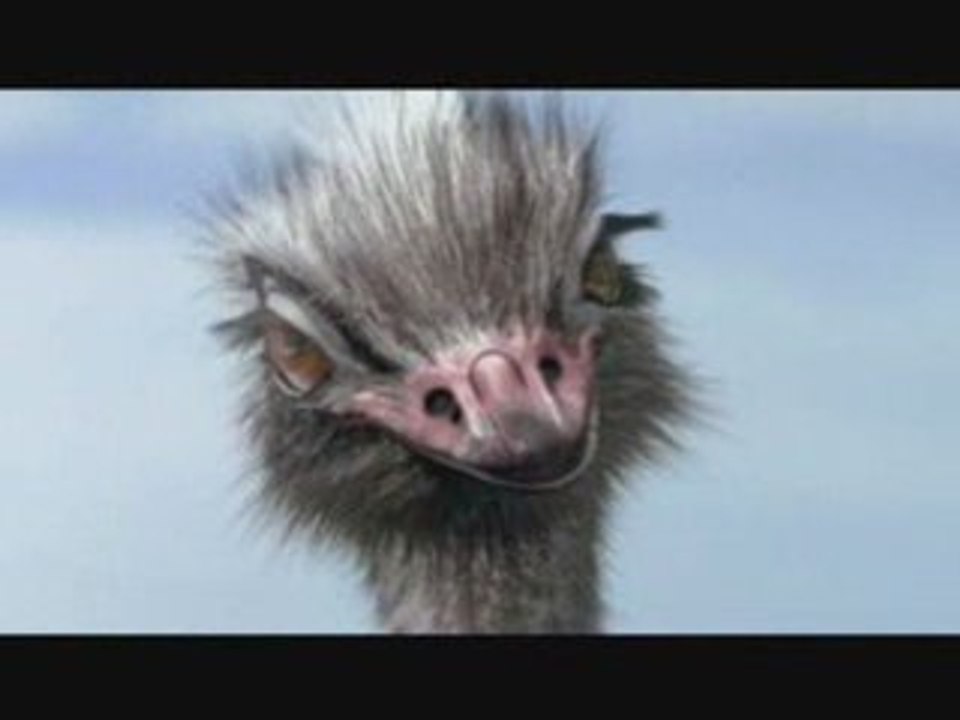 Wolltest du immer wissen, warum der Strauß nicht fliegt?