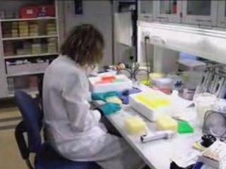 Getting Through the Financial Crisis