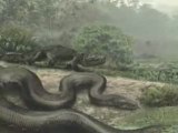 Scoperto fossile di un titanoboa lungo più di 15 metri