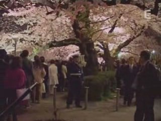 Carnets du Japon - Volcans villes et jardins (Partie 4)