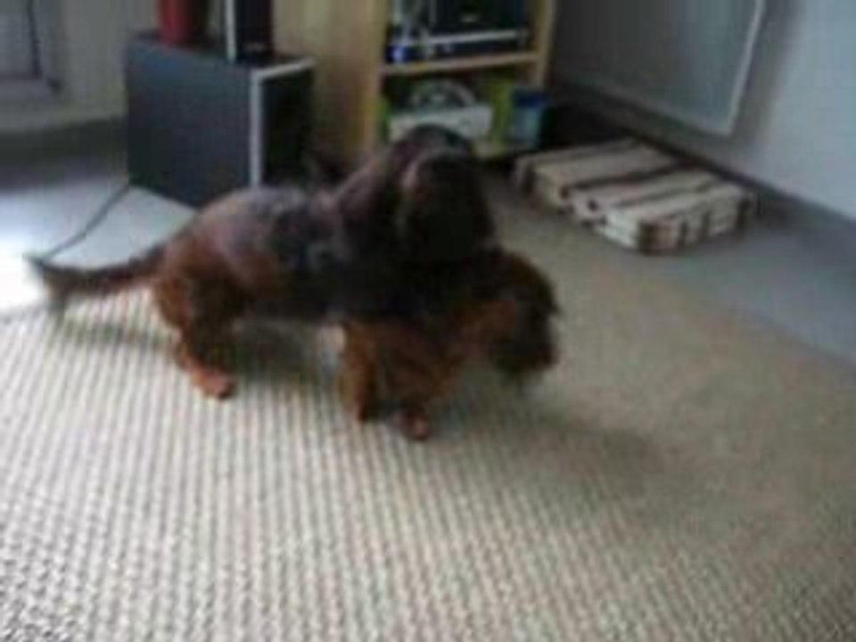 Leto & Dandee catch
