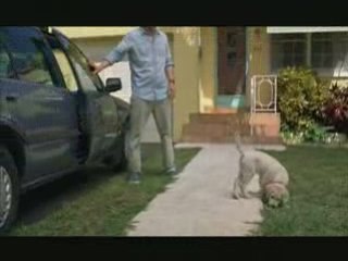 MARLEY & MOI BANDE-ANNONCE VF