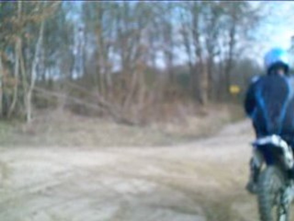 bardouville arlos shrek rasqual souris