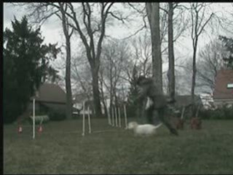 Agility rég