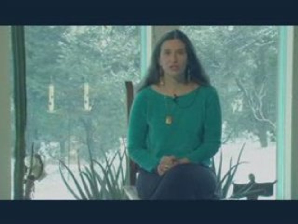 Sandra Ingerman on Becoming a Shaman - Shamanic Training