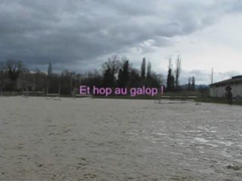 HORAS_lib