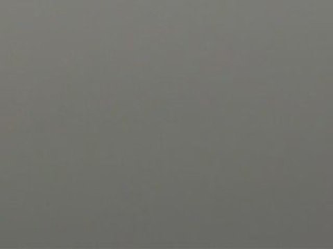 şanlıurfa güvercin karışması 2 guvercinurfa.com