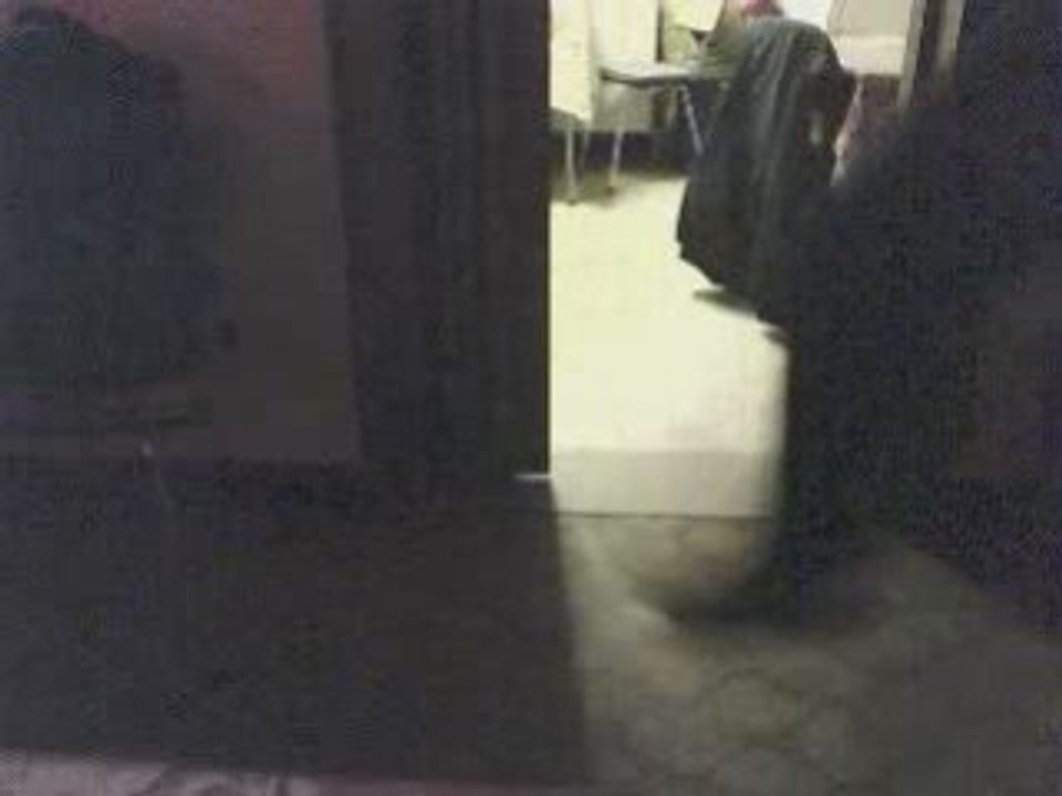 Moi Jump