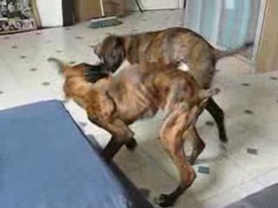 Zahyone vs Sys'ko round 2
