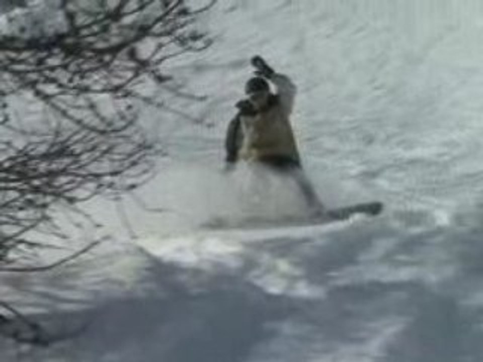 Vars 2009