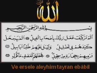 Fil suresi(namaz sure ve duaları)