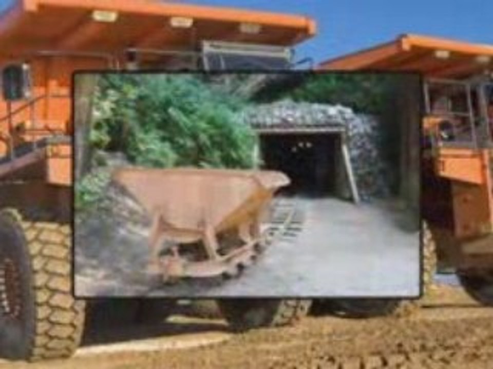 buy a gold mine, buy goldmine, sell a gold mine