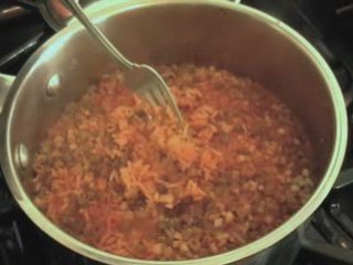 Spicy Tomato Rice